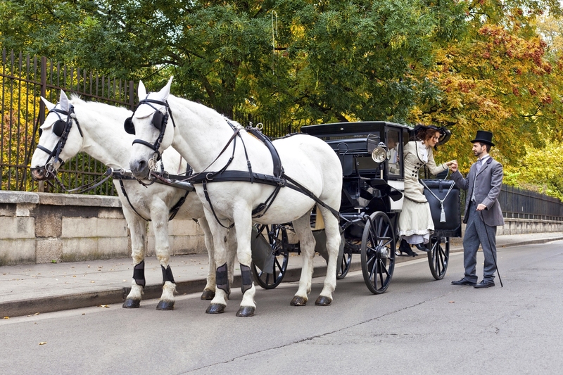 Horse Carriage With Old Fashioned Dressed Couple In Love